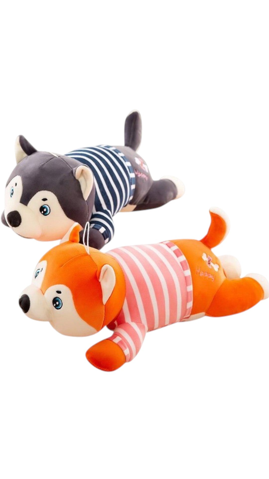 Catel Husky culcat din plus